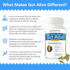 Holistic Health Labs Gut Alive – Natural Digestive Support for IBS, Acid Reflux, Bloating &amp; Gut Health (60 Count)