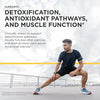Integrative Therapeutics Theracurmin HP – Advanced Curcumin for Heart, Joint &amp; Muscle Support