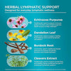 PUREHEALTH RESEARCH Lymph System Support – Lymphatic Drainage Supplement (60 Capsules)