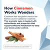 How Cinnamon Works Wonders - Benefits and traditional uses of cinnamon in medicine with aromatic spice imagery.